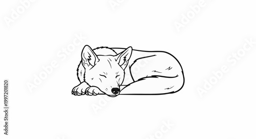 A sleeping canine rests curled, with eyes closed and ears alert