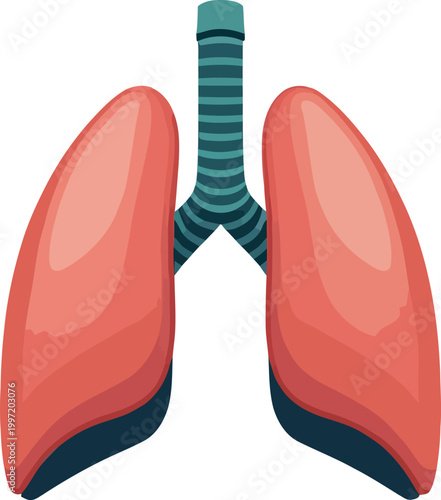 A crisp, modern icon illustration of human lungs and trachea, representing vital medical healthcare and medicine, essential for anatomy education and respiratory health awareness