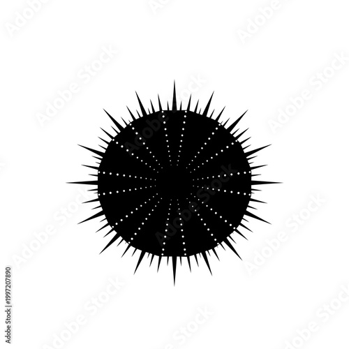 Black sea urchin silhouette against a white background, isolated and detailed.