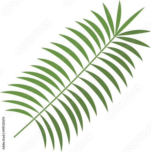 パームリーフのアイコン