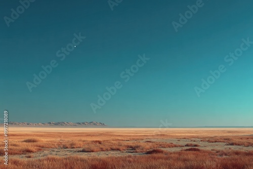 Desert Landscape with Clear Sky and Moon