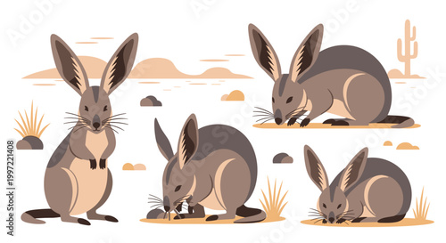 Group of desert hare rabbits.