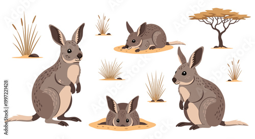 Group of kangaroos standing together.