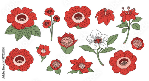 Red and white flowers illustration.