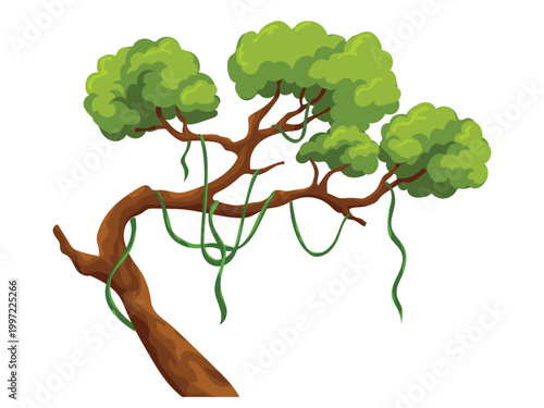 Tropical tree with liana hanging jungle element