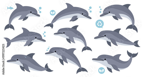 Group of dolphins swimming together.