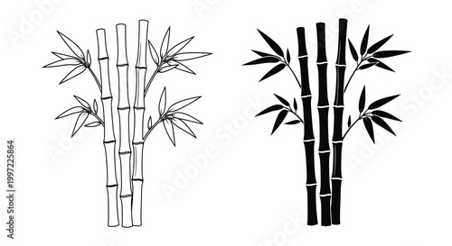 bamboo plants in line art and silhouette styles