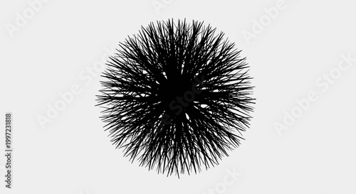 Black spiky ball with sharp points.