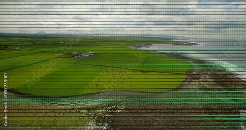 Photos Showing aerial patchwork of green fields and grazing herd by rocky tidal shoreli