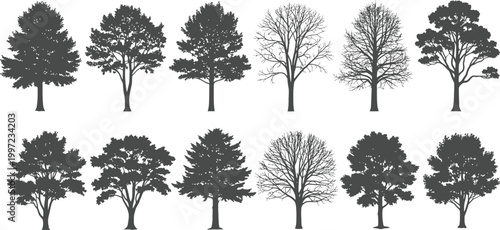 Collection of twelve diverse tree silhouettes showcasing natural shapes, trunks, branches, and foliage variety for design, illustration, and landscape visualization