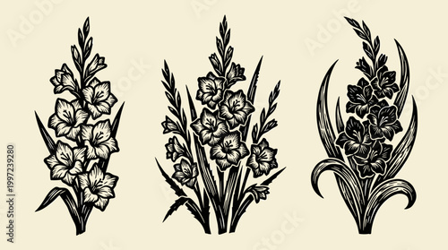 Gladiolus Flower Linocut Illustration Set: 3 Isolated Vector Logo Symbols, Black Ink Art