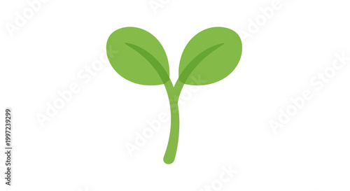 Green sprout with two leaves emerging from stem on white background, symbol of growth and new beginnings.