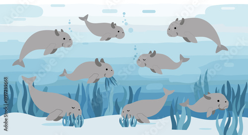 Manatees in the ocean water.