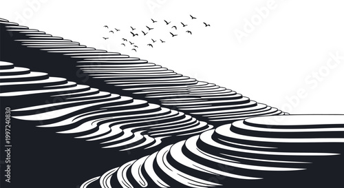 Black and white striped wave pattern.