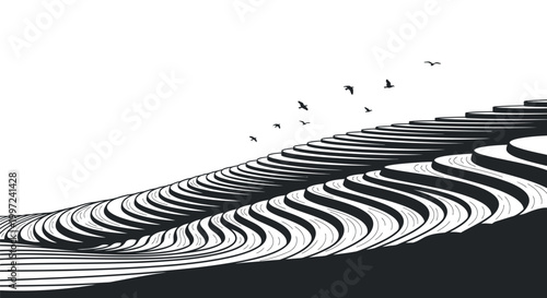 Black and white wavy line pattern.