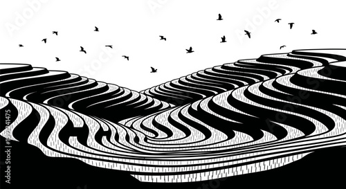 Black and white zebra print pattern.