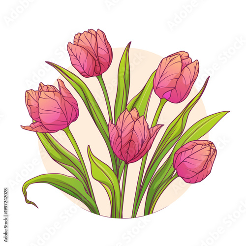 Bouquet of pink tulips with green leaves in a circular composition. Hand-drawn botanical vector illustration for flower shop decoration, cards, invitations, banners design.