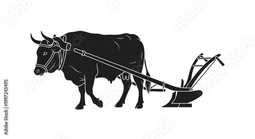 Black bull pulling old plow equipment.