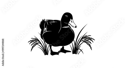 Black Silhouette of a Duck Standing.