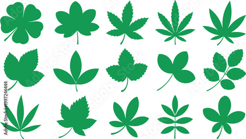 Set of Green Leaf Silhouettes and Botanical Garden Foliage Icons