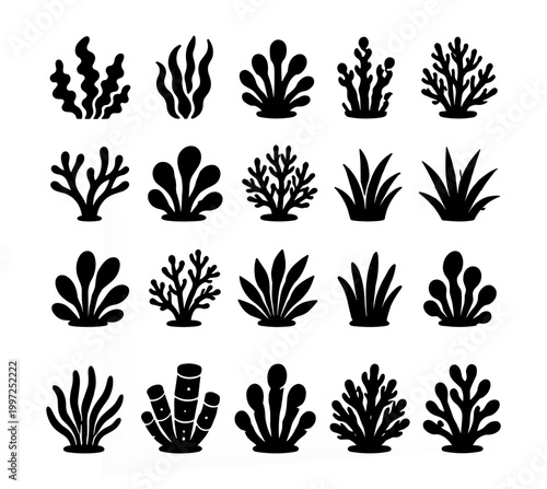 Seaweed and Coral Silhouettes Set Marine Plants Underwater Reef Icons Collection