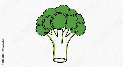 A vibrant green broccoli floret illustration highlights the vegetable's intricate texture and shape on a clean background.