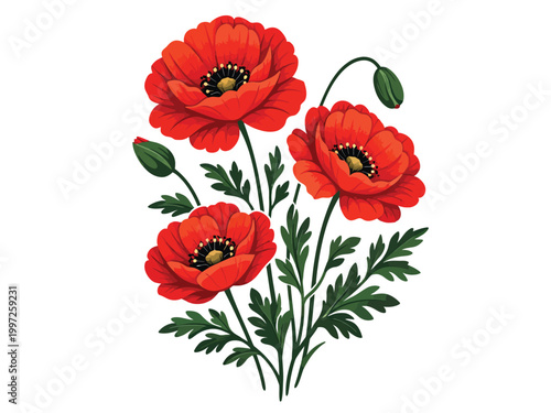 Print  Red Poppy Bloom Botanical Illustration with Elegant Flat Vector Style and Vintage Cream Background
