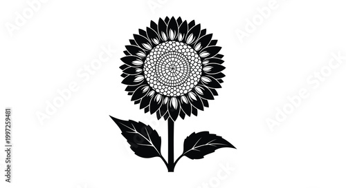 A striking black sunflower illustration with detailed petals and a stem silhouette