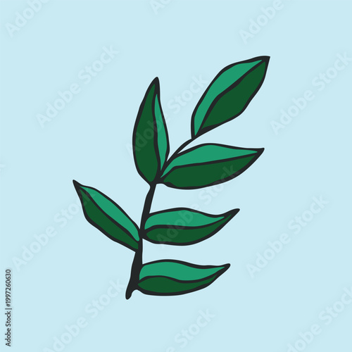 Simple green leaf branch illustration, minimal botanical doodle