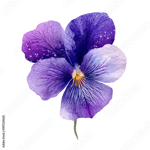 Stylized watercolor Violet Flower vector, modern artistic illustration with high-quality details on a pure white background.
