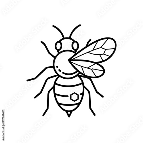 Detailed illustration of a honeybee with wings and antennae, isolated.