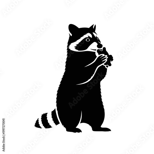 Black and white raccoon silhouette standing and holding food, isolated on white background.