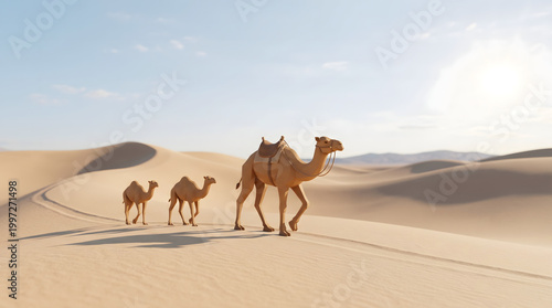 camel in the sahara desert