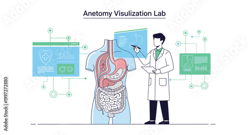 Doctor studying anatomy visualization lab with digital interface and human body model