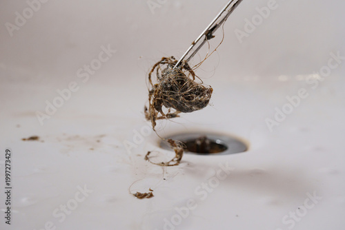 Εκτύπωση καμβά Clogged sink drain with hair and debris removal closeup