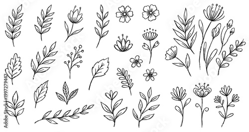 Hand Drawn Botanical Leaf and Flower Doodle Line Art Set