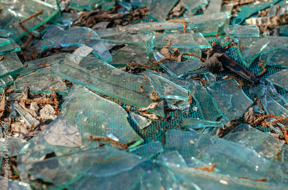 Fototapeta premium Broken glass pieces on ground with dry leaves and dirt. Danger, damage, pollution and unsafe.