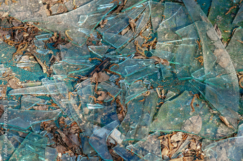 Broken glass pieces on ground with dry leaves and dirt. Danger, damage, pollution and unsafe.