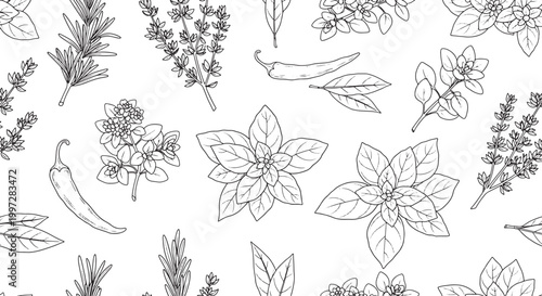 Seamless Vector Pattern of Hand Drawn Culinary Herbs and Spices Including Basil Rosemary Thyme Chili Pepper and Bay Leaves for Kitchen Decor