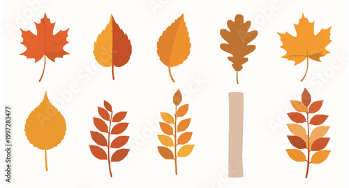 Colorful autumn leaves vector collection fall foliage cartoon set isolated on white background
