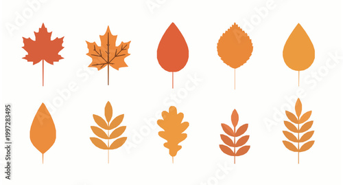Minimal autumn leaf collection vector colorful fall foliage isolated on white background