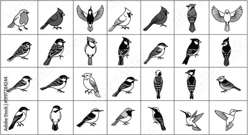 Collection of Various Bird Silhouettes and Line Drawings.