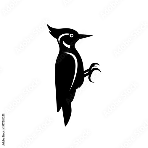 Silhouette of a black woodpecker bird with a crest and sharp beak.