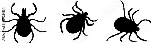 tick silhouette, vector