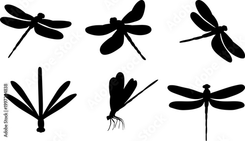 dragonfly silhouette, vector