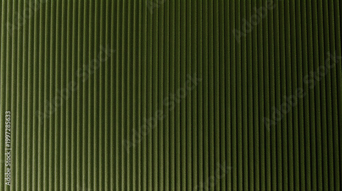 Flat Green Corduroy Velvet Texture for Luxury Sofa Upholstery and Mid-Century Modern Furniture | Uniform Olive Parallel Ribbed Line Pattern