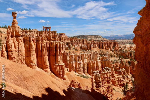 Bild auf Leinwand Rock formations and hoodoos in Bryce Canyon National Park