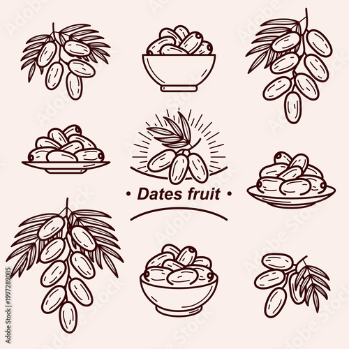 Dates fruit set. Collection icon dates fruit. Vector 