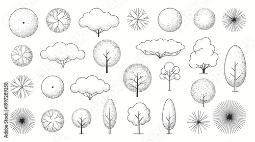 Hand-drawn tree illustrations for architectural landscape design. Diverse species in plan and elevation views for site planning and garden conceptualization projects