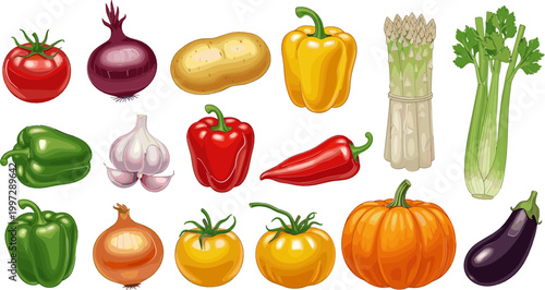 Colorful Vegetables Collection with Tomato, Onion, Potato, Bell Peppers, Garlic, Pumpkin, Eggplant, and Asparagus for Healthy Cooking and Organic Food Designs